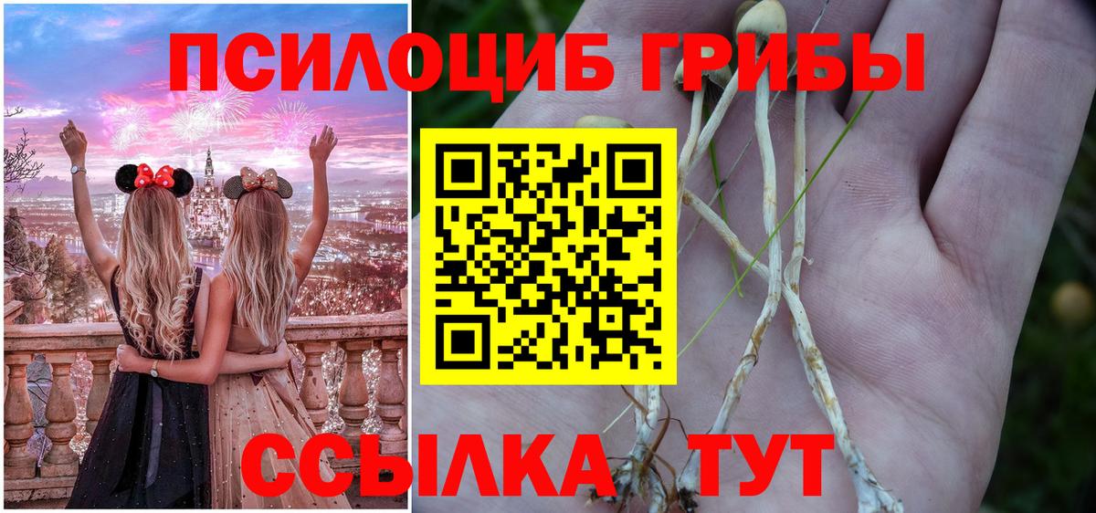 Вязники  Псилоцибиновые грибы Cubensis  Вход с VPN  Псилоцибиновые грибы прущие грибы 